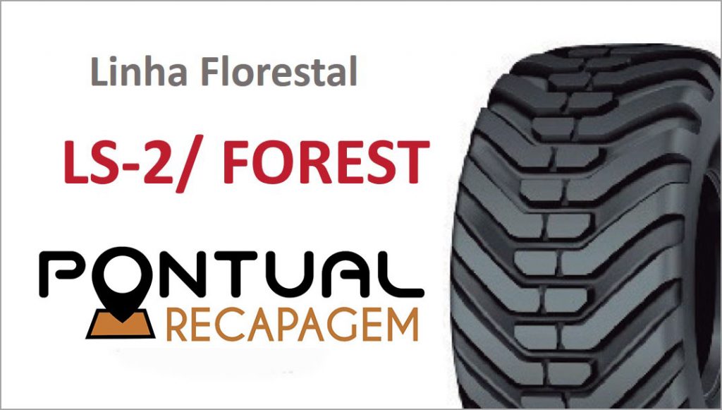 LS-2-FOREST-Linha-Florestal-Pontual-Recap-Arcos-MG