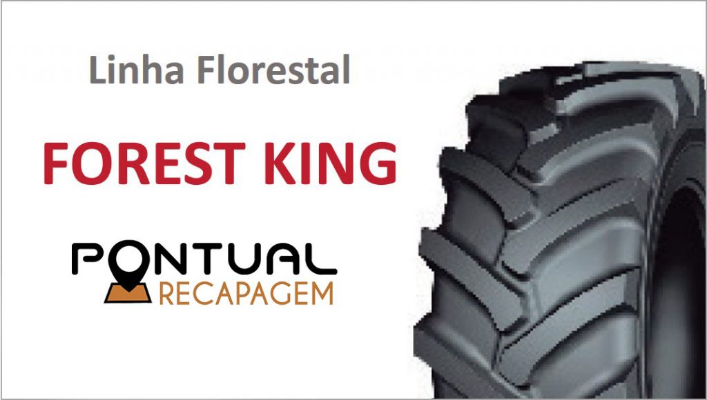 FOREST-KING-Linha-Florestal-Pontual-Recap-Arcos-MG